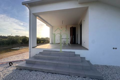 Villa i Mesagne, Brindisi, Mesagne - € 365.000 | Ref: Villa Palme - foto 25